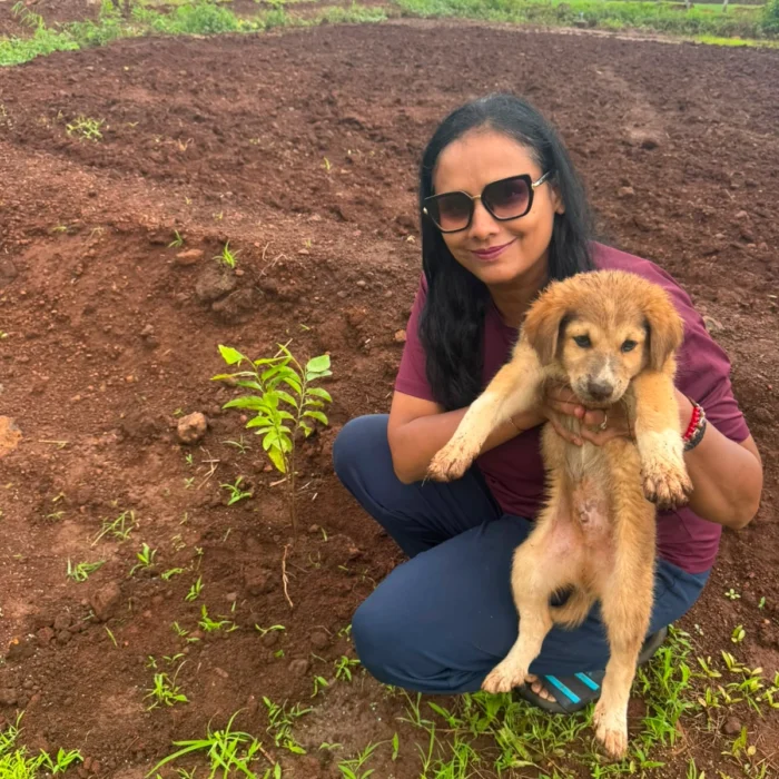 At Nitika Agro Farms, we combine modern farming techniques with natural practices to deliver healthy produce and unforgettable farm stay experiences. From farm-fresh food to rural tourism, we bring you closer to nature.